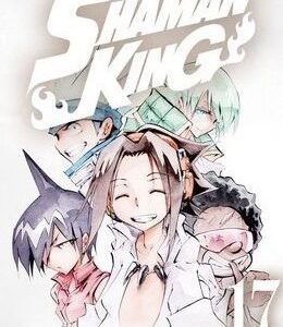 SHAMAN KING 17