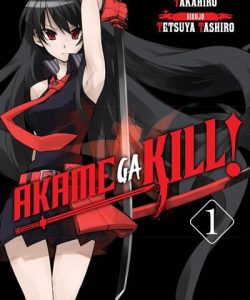 akamegakill01ivreaarg