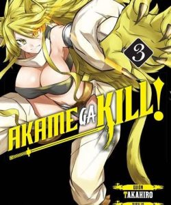 akamegakill03ivreaarg