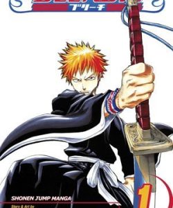 bleach01