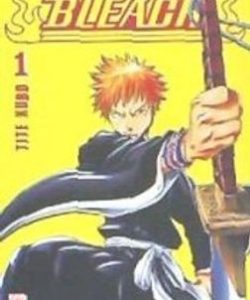 bleachmaximum01