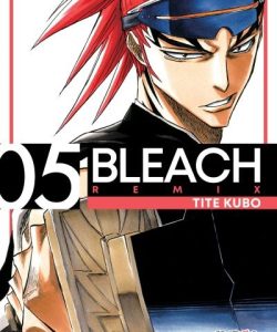 bleachremix05ar