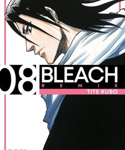 bleachremix08ar