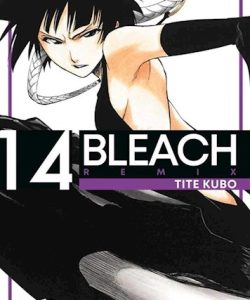 bleachremix14