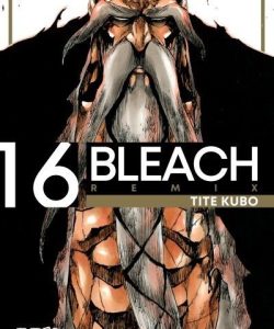bleachremix16