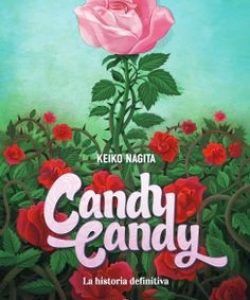 candycandylahistoriadefinitiva