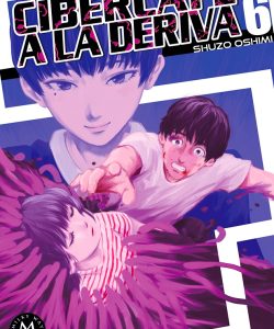 cibercafealaderiva06