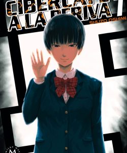 cibercafealaderiva07