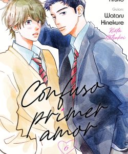 confusoprimeramor06