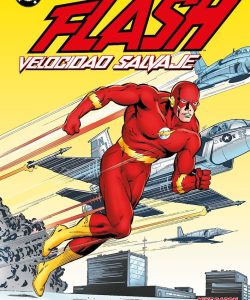 dcflashvelocidadsalvaje