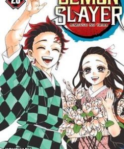 demonslayer23especialconcofrear