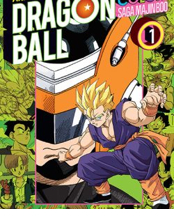 dragonballcolorsagamajinboo01ar