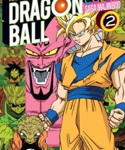 dragonballcolorsagamajinboo02ar