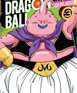 dragonballcolorsagamajinboo03ar
