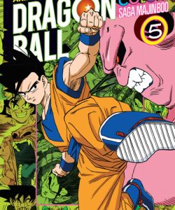 dragonballcolorsagamajinboo05ar
