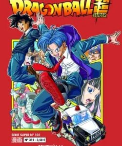 dragonballserieroja312