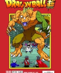dragonballserieroja313