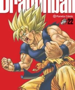 dragonballultimate22