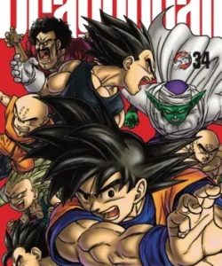 dragonballultimate34
