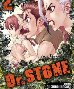 drstone02