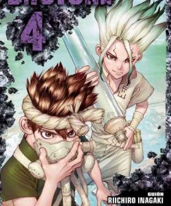 drstone04