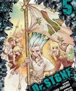 drstone05