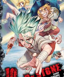 drstone10