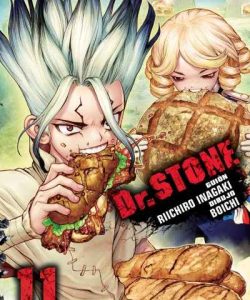 drstone11