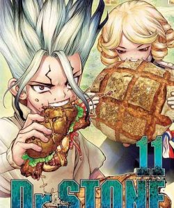 drstone11ar