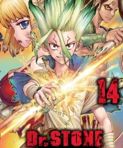 drstone14