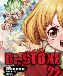 drstone22
