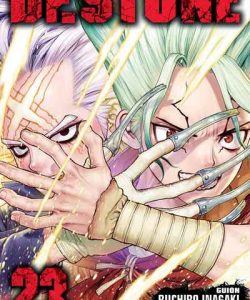 drstone23