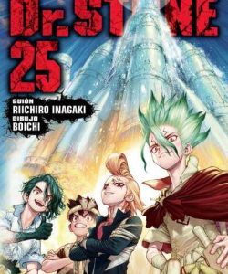 drstone25