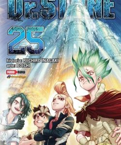 drstone25ar