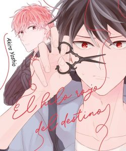 elhilorojodeldestino