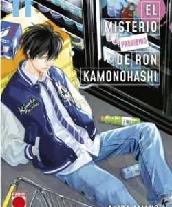 elmisterioprohibidoderonkamonohashi11