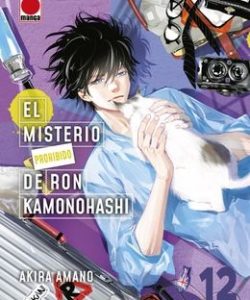 elmisterioprohibidoderonkamonohashi12