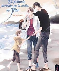 elpolluelodormidoenlaorilladelmar