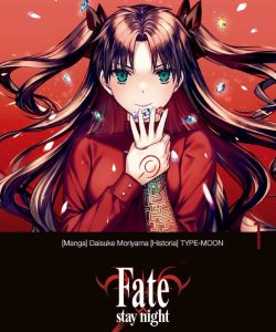fatestaynightunlimitedbladewo