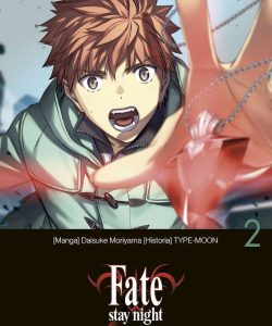 fatestaynightunlimitedbladeworkds2