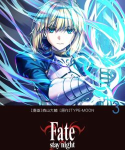fatestaynightunlimitedbladeworkds3