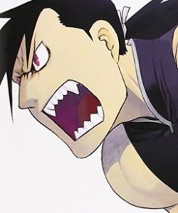 fullmetalalchemistkanzenban14