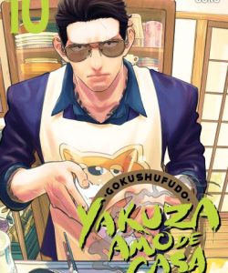 gokushufudoyakuzaamodecasa10ar