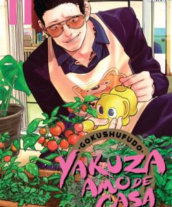 gokushufudoyakuzaamodecasa11ar