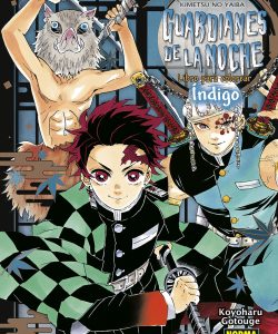 guardianesdelanochelibroparacolorearindigo