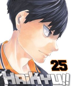 haikyu25ar