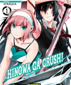 hinowagacrush01