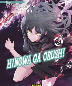 hinowagacrush03