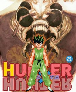 hunterxhunter21ar