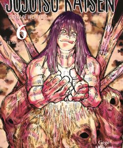 jujutsukaisen06